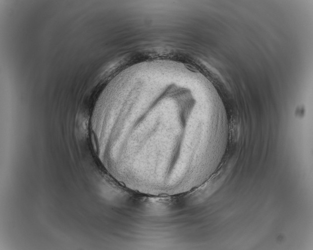 X0000096440188200802211219