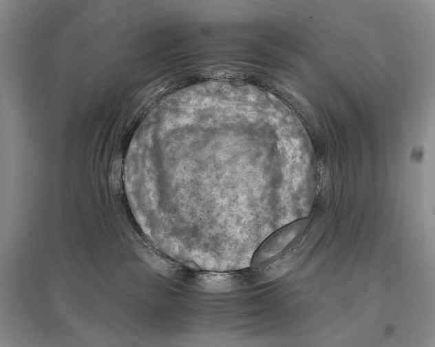 X0000096440189200802211219