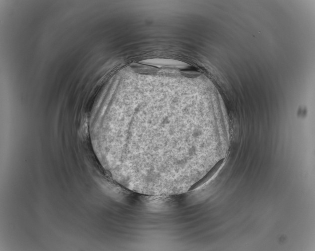 X0000096440191200802211219