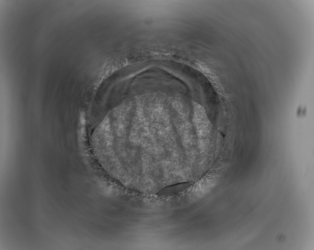 X0000096440192200802211219