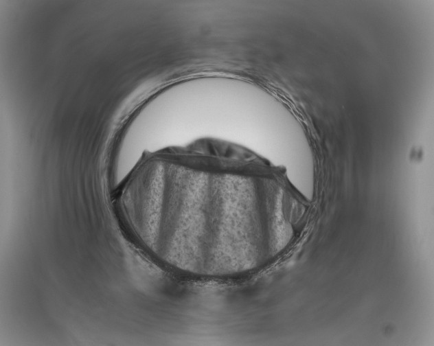 X0000096440197200802211218