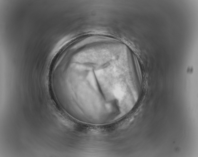 X0000096440199200802211218