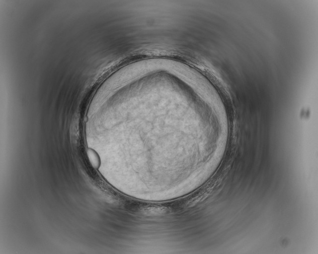 X0000096440202200802211218