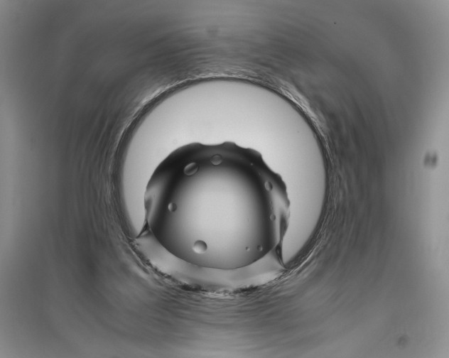 X0000096440203200802211218