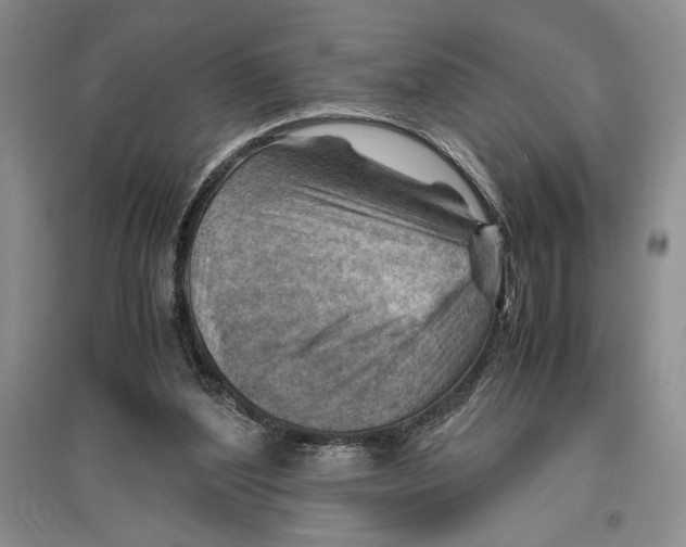 X0000096440204200802211218