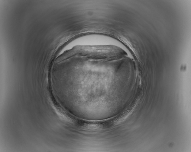 X0000096440205200802211218