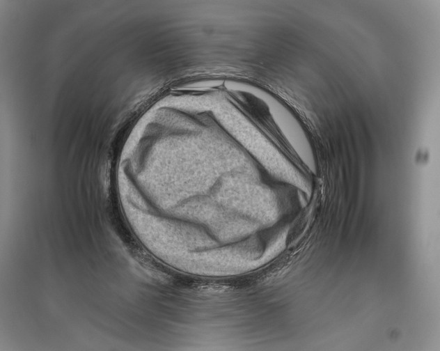 X0000096440206200802211218