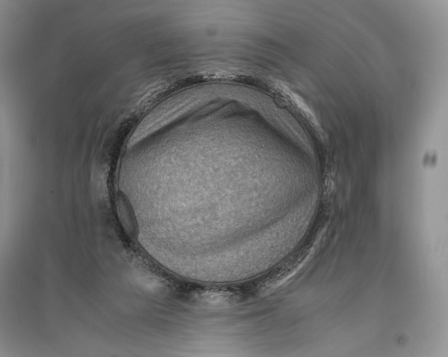 X0000096440209200802211218