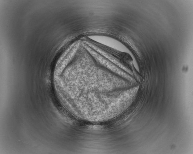 X0000096440212200802211218