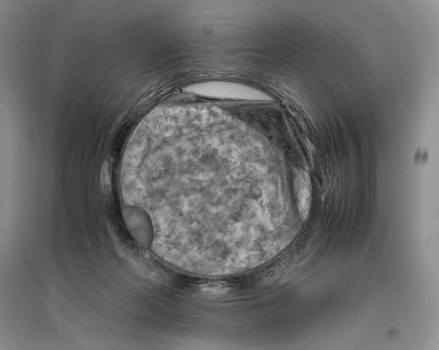 X0000096440214200802211218