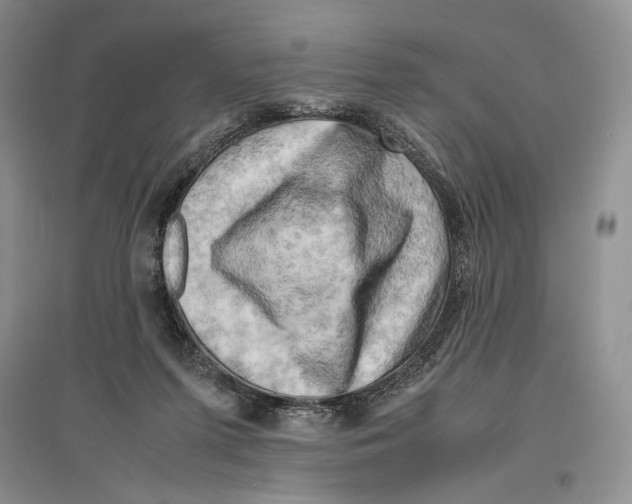 X0000096440215200802211218