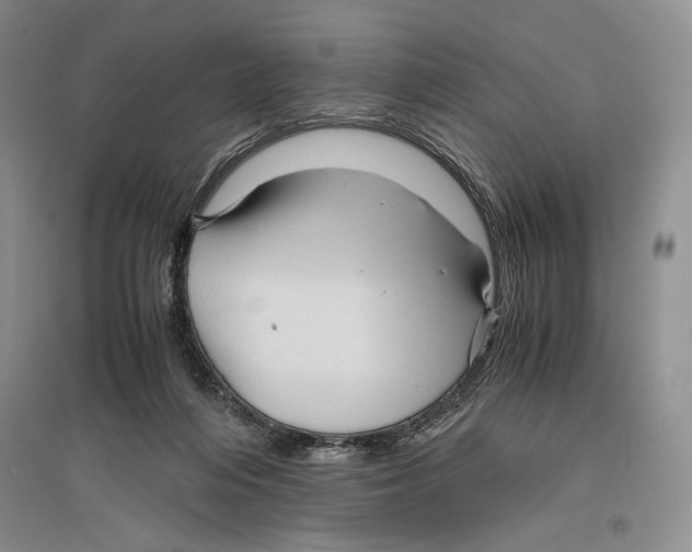 X0000096440216200802211218