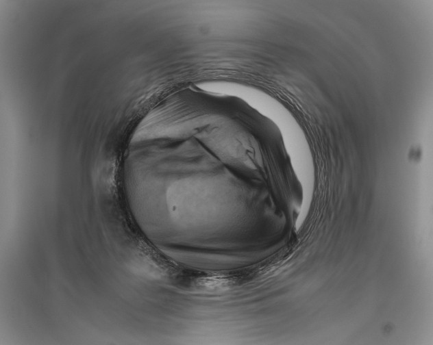 X0000096440219200802211218