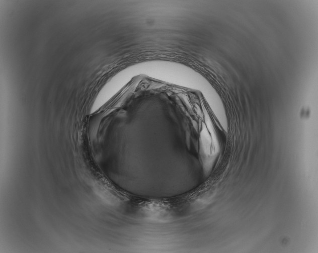 X0000096440223200802211218