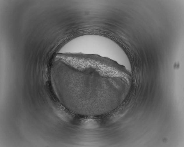 X0000096440224200802211218