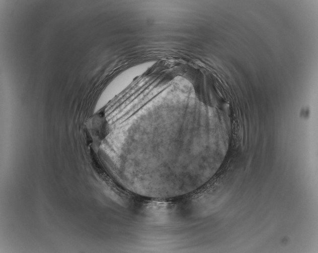 X0000096440227200802211218