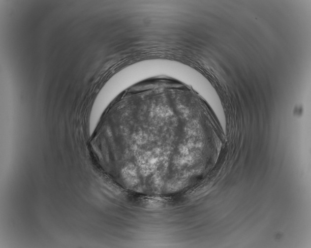 X0000096440229200802211218