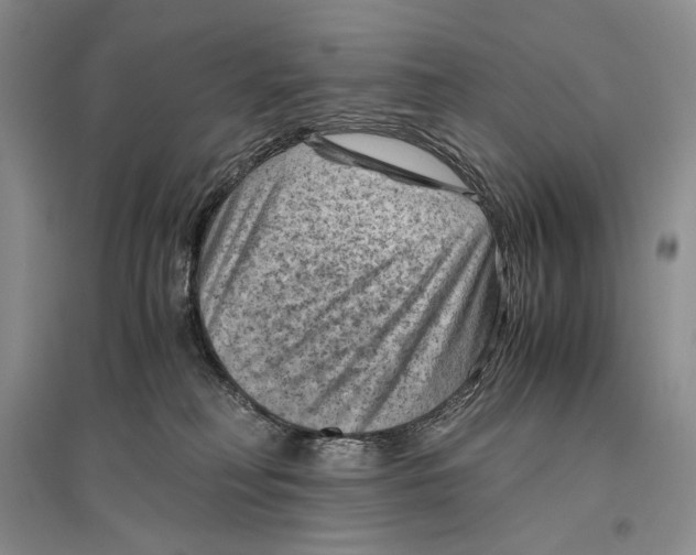 X0000096440230200802211218