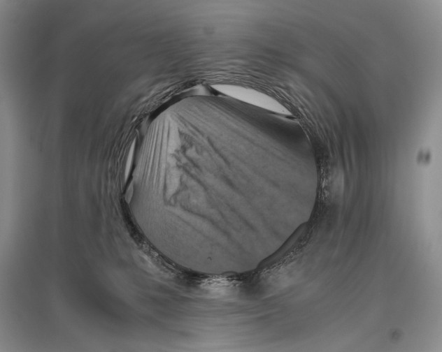 X0000096440231200802211218