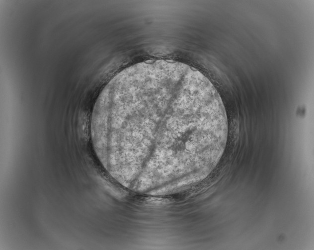 X0000096440234200802211218