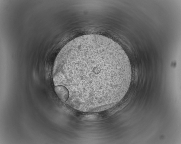 X0000096440236200802211218