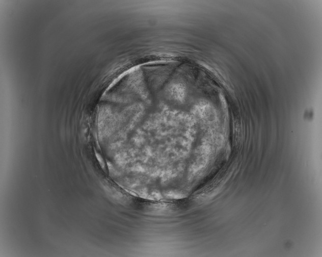 X0000096440237200802211218