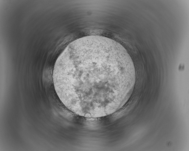 X0000096440240200802211218