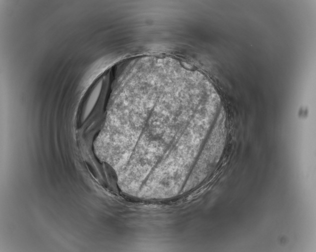 X0000096440242200802211217