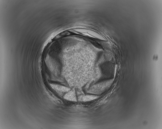 X0000096440244200802211217