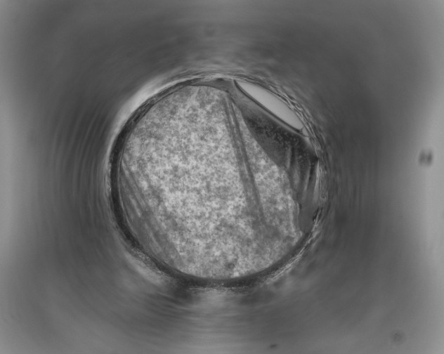 X0000096440246200802211217