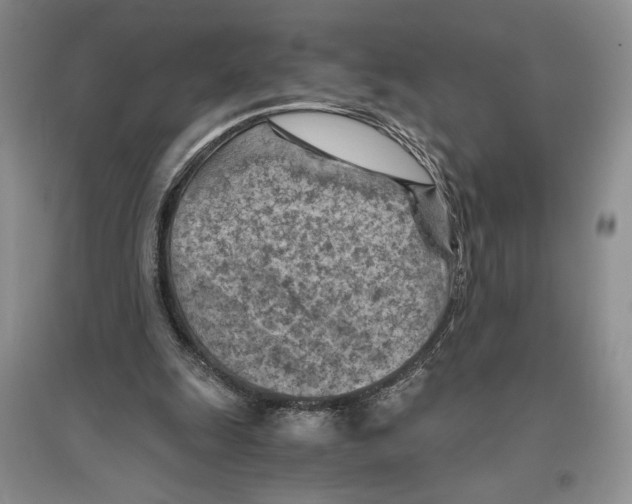 X0000096440247200802211217