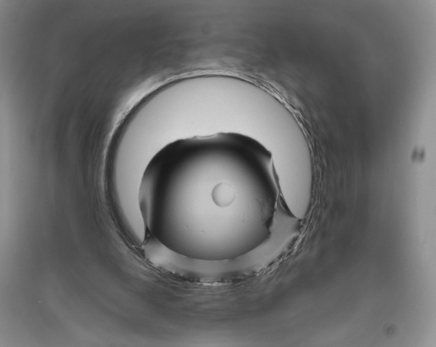 X0000096440248200802211217