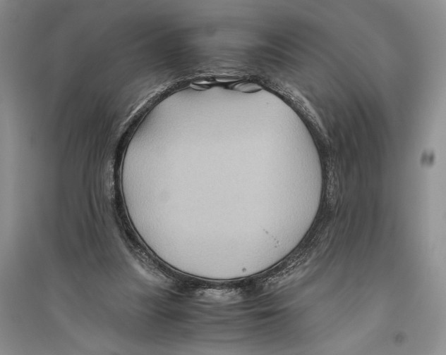 X0000096440251200802211217