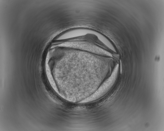 X0000096440252200802211217