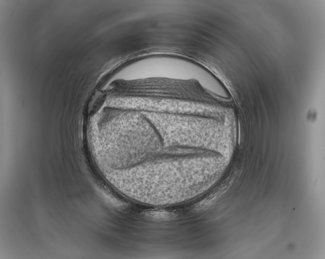 X0000096440253200802211217