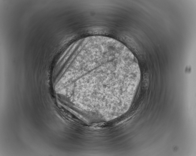 X0000096440255200802211217