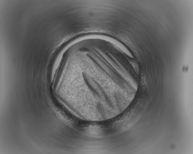 X0000096440256200802211217