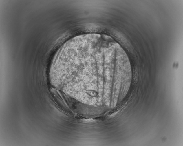 X0000096440258200802211217