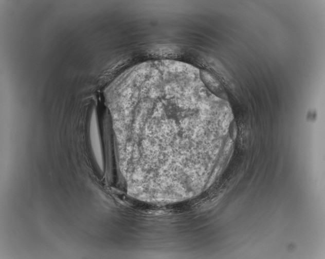 X0000096440259200802211217