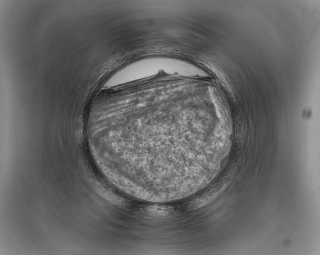 X0000096440261200802211217