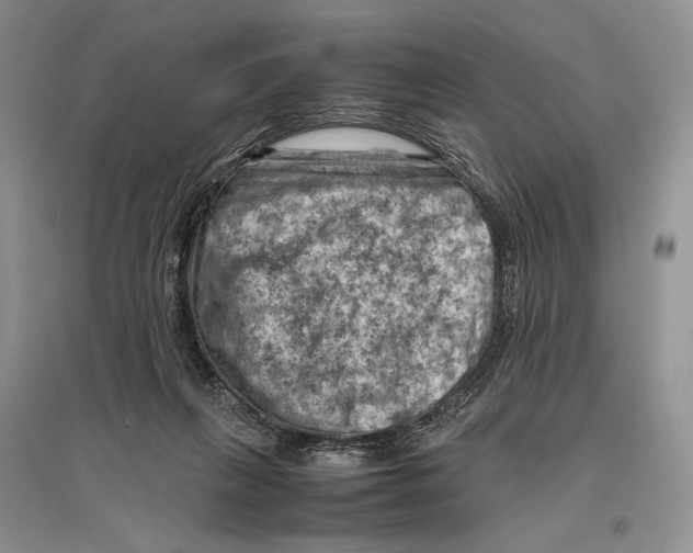 X0000096440263200802211217