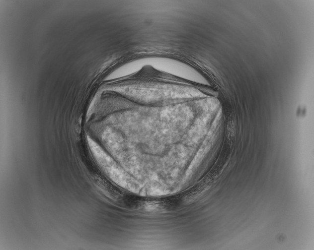 X0000096440264200802211217