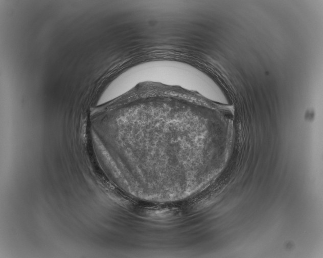 X0000096440267200802211217