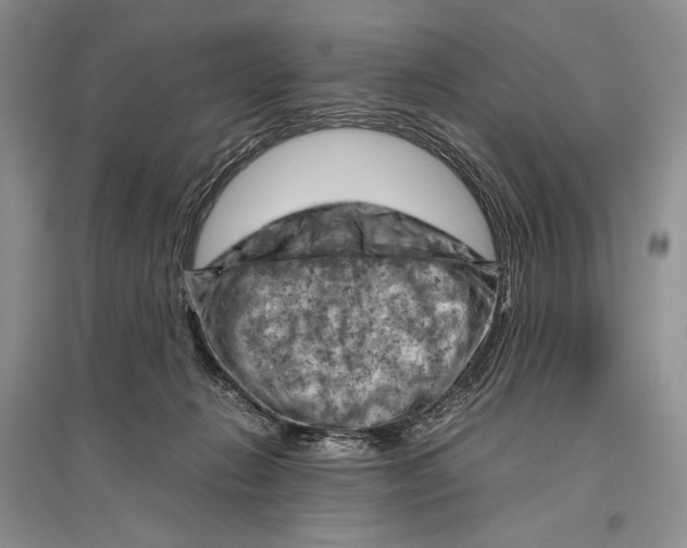 X0000096440270200802211218