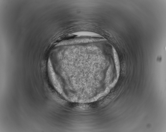 X0000096440278200802211218