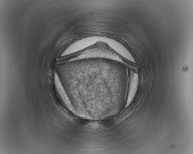 X0000096440280200802211218