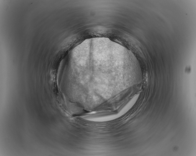 X0000096440284200802211218