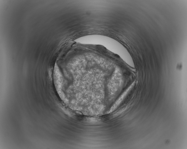 X0000096440286200802211218