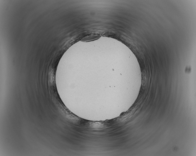 X0000096440287200802211218