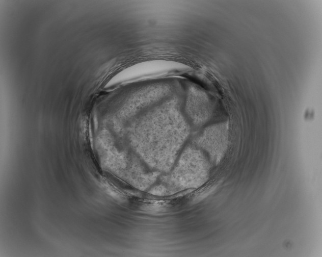 X0000096440288200802211218